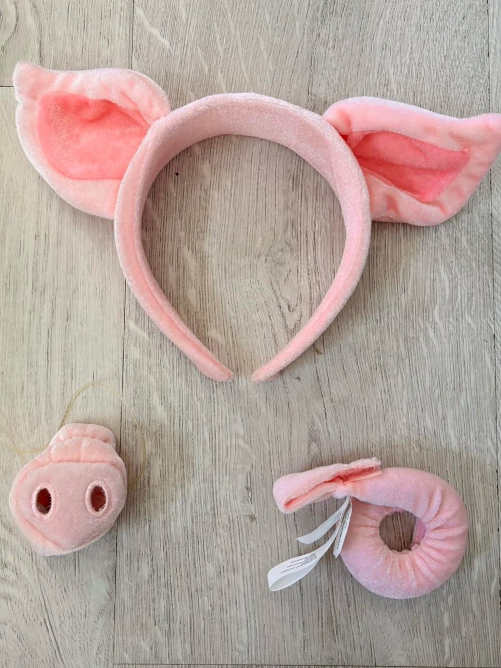 PIG COSTUME